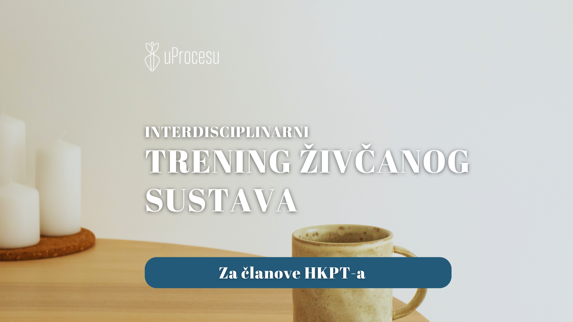 Pročitajte više o članku Interdisciplinarni Trening živčanog sustava